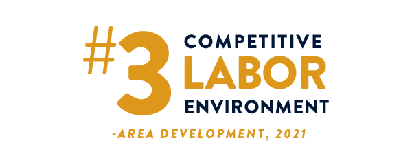 #3 competitive labor environment area development 2021