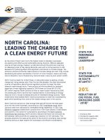 Clean Energy White Paper