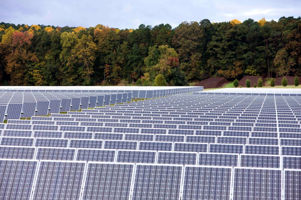 solar panels in lines fall color trees