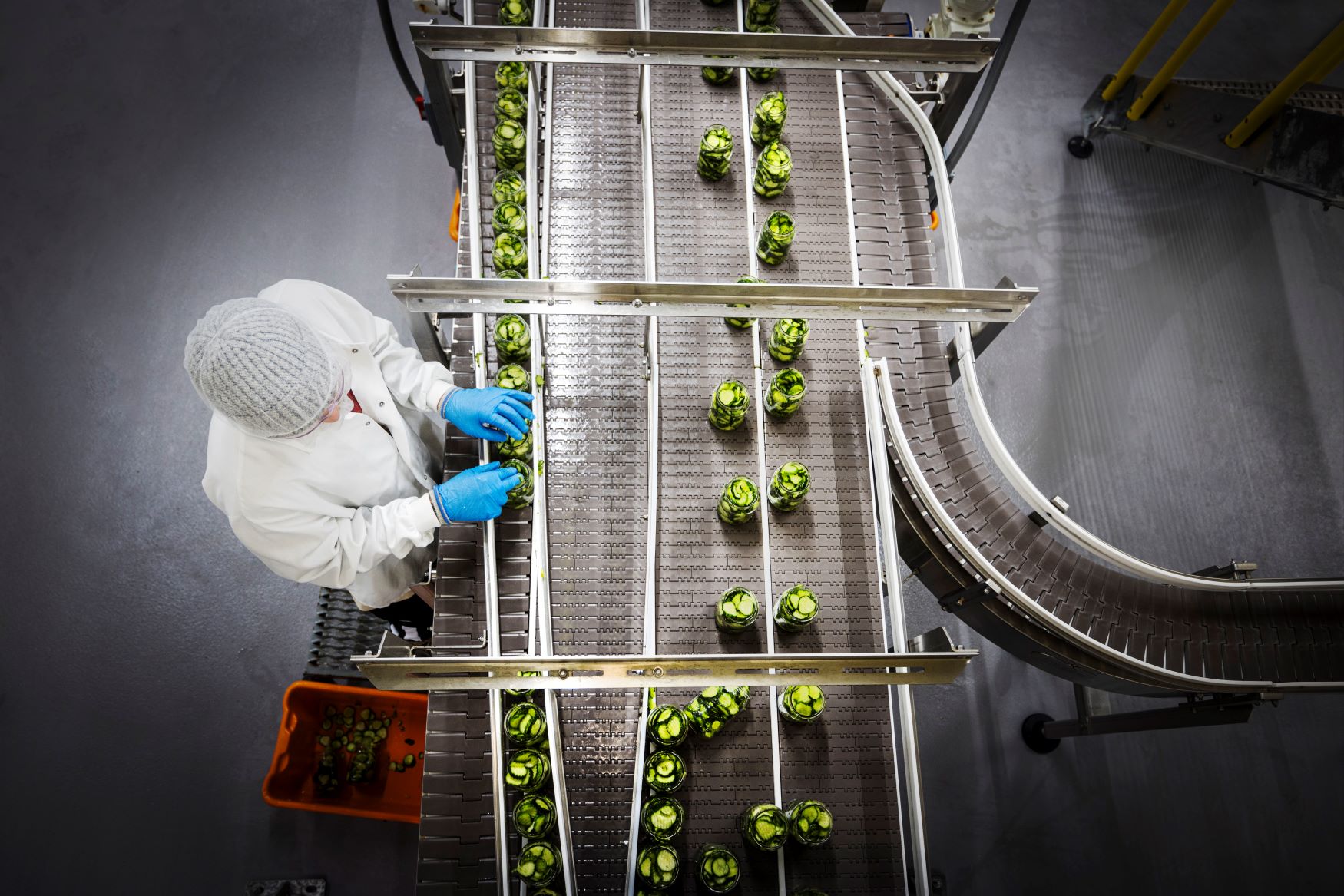 manufacturing line at mount olive pickle plant