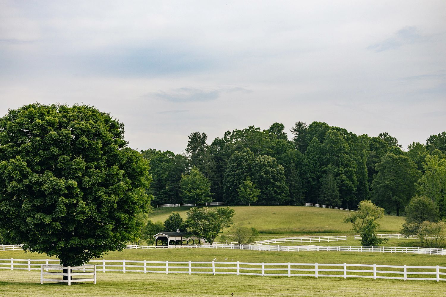 Horseshoe Farm in Hendersonville, NC