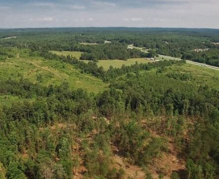 aerial view of Chatham siler city megasite