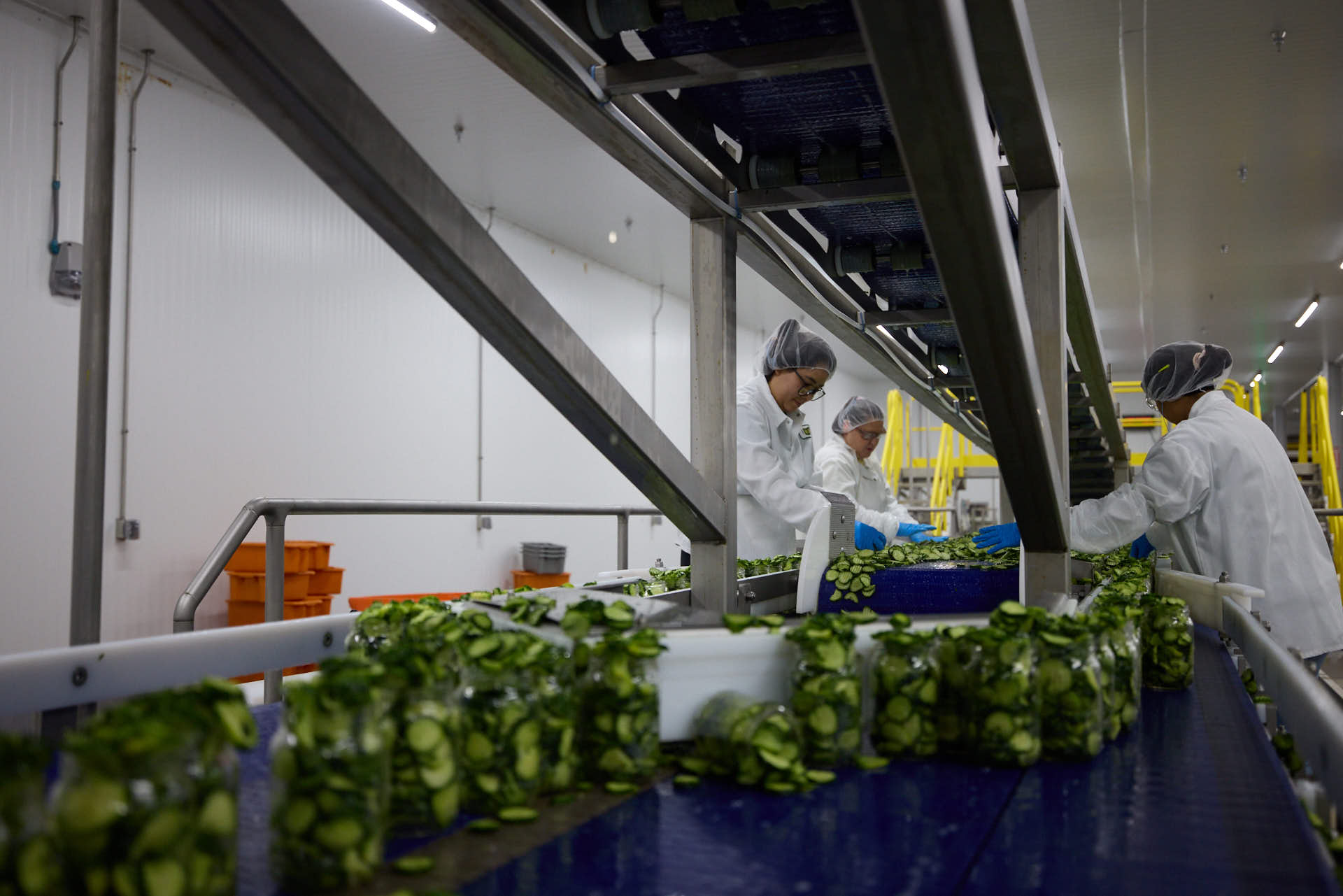 Factory workers at Mount Olive in Goldsboro