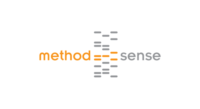 Methodsense logo