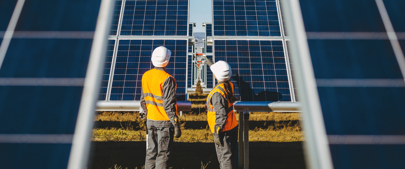 workers inspecting solar panels