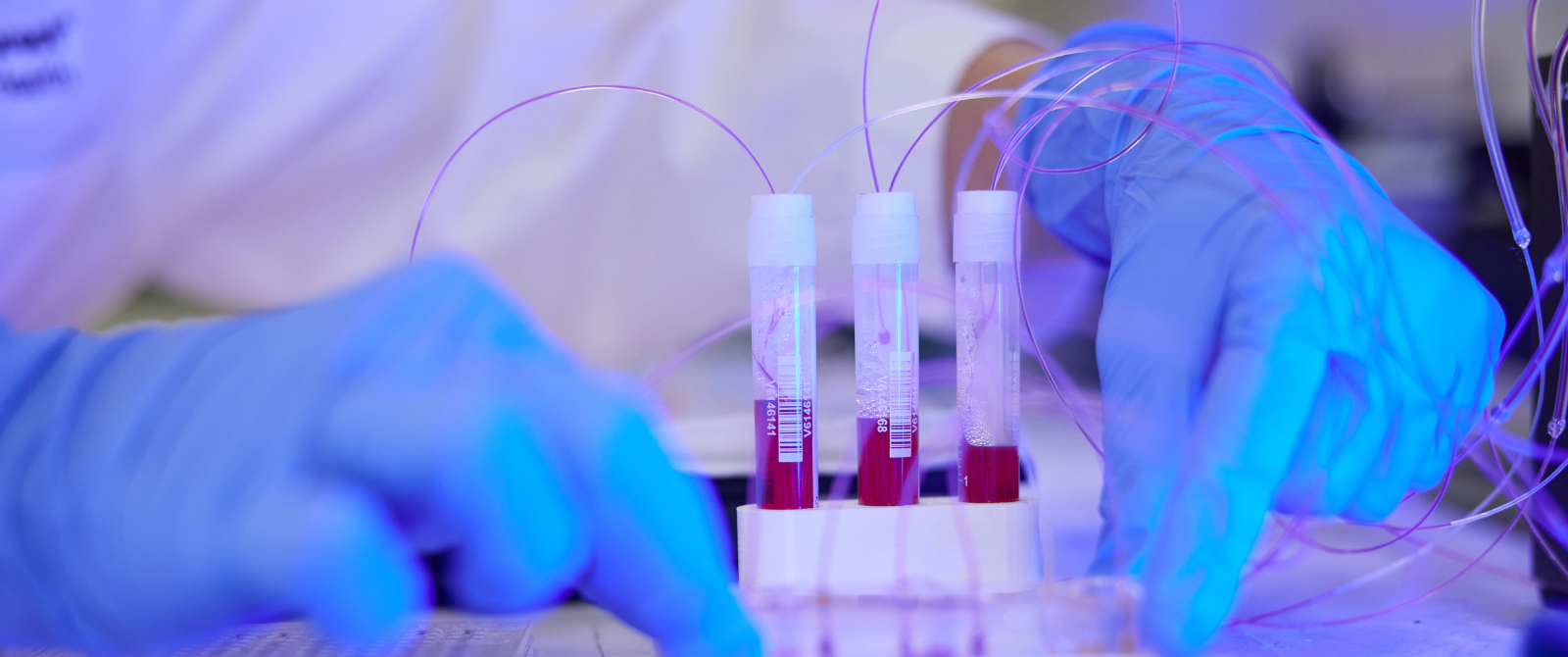 scientific samples in vials