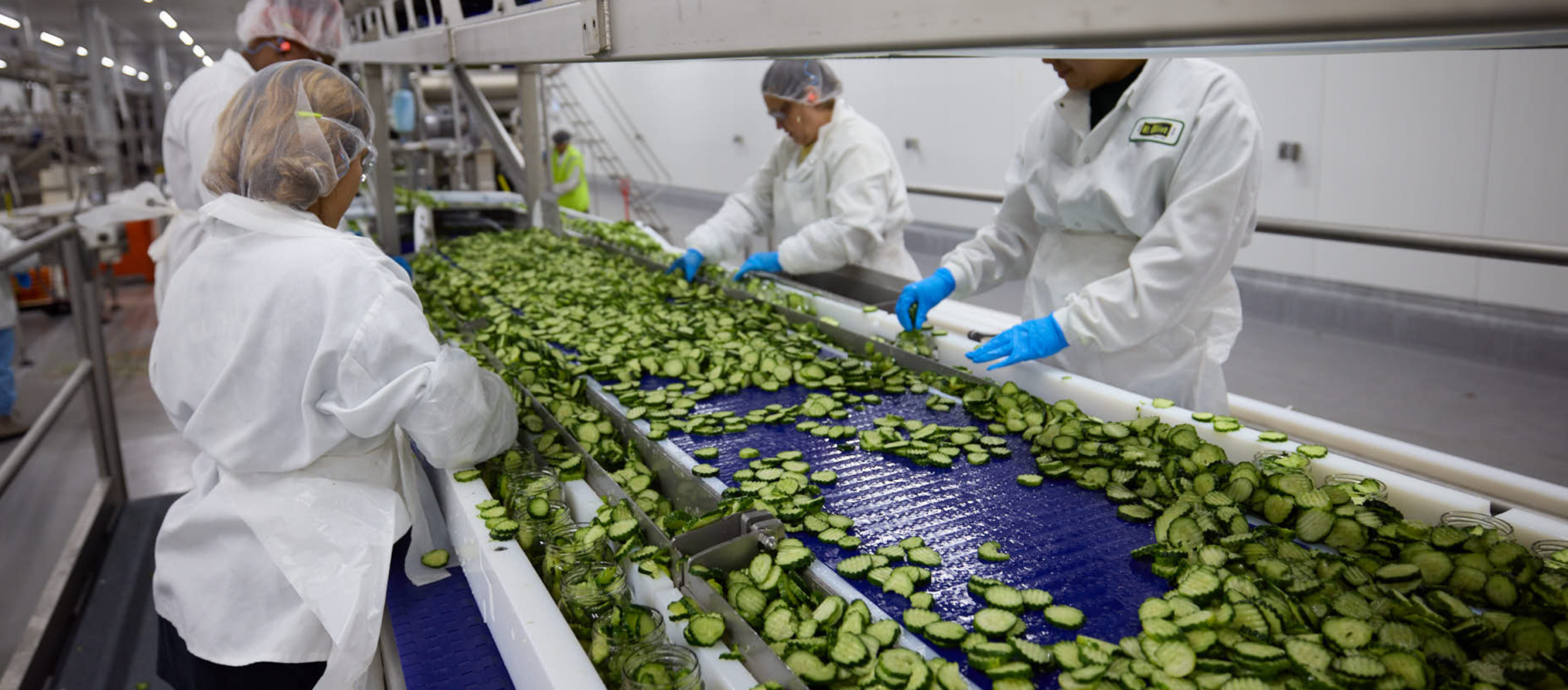 Workers in production line at Mt Olive Pickle Facility