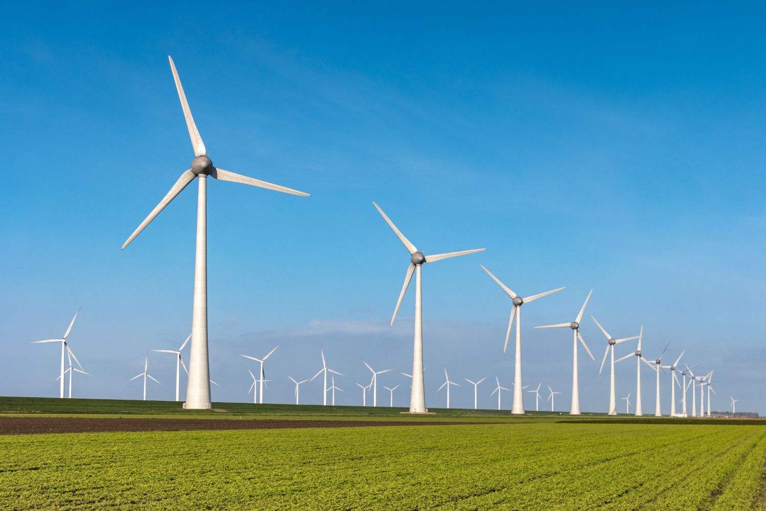 wind energy in an open field near the coast